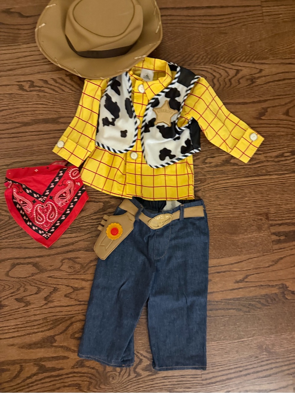 Disney’s Toy Story Woody Costume